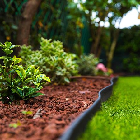 Urban Cottage Free Parking - Private Garden Bologna Bagian luar foto