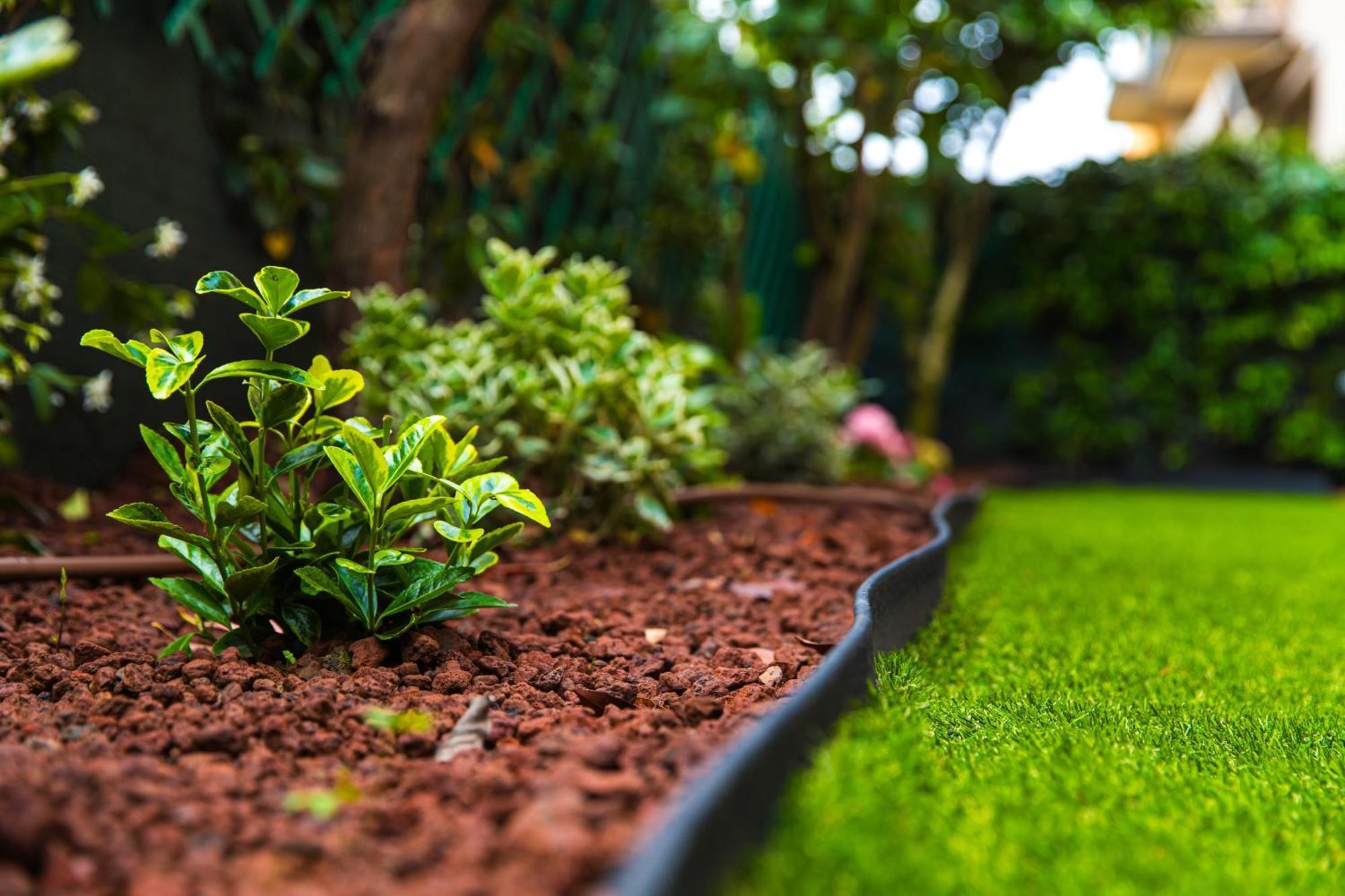 Urban Cottage Free Parking - Private Garden Bologna Bagian luar foto